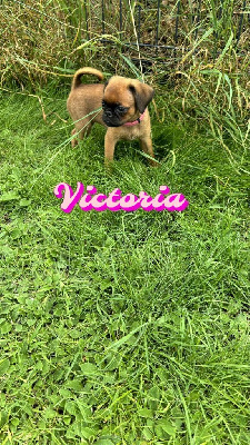 Victoria